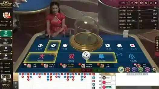 DG娛樂城官網